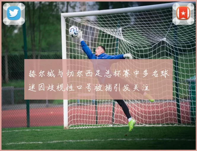 赫尔城与切尔西足总杯赛中多名球迷因歧视性口号被捕引发关注