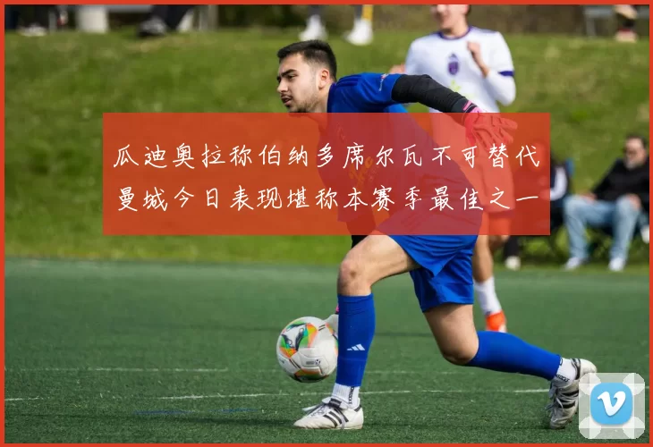 瓜迪奥拉称伯纳多席尔瓦不可替代曼城今日表现堪称本赛季最佳之一
