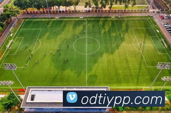 OD体育APP平台生态图